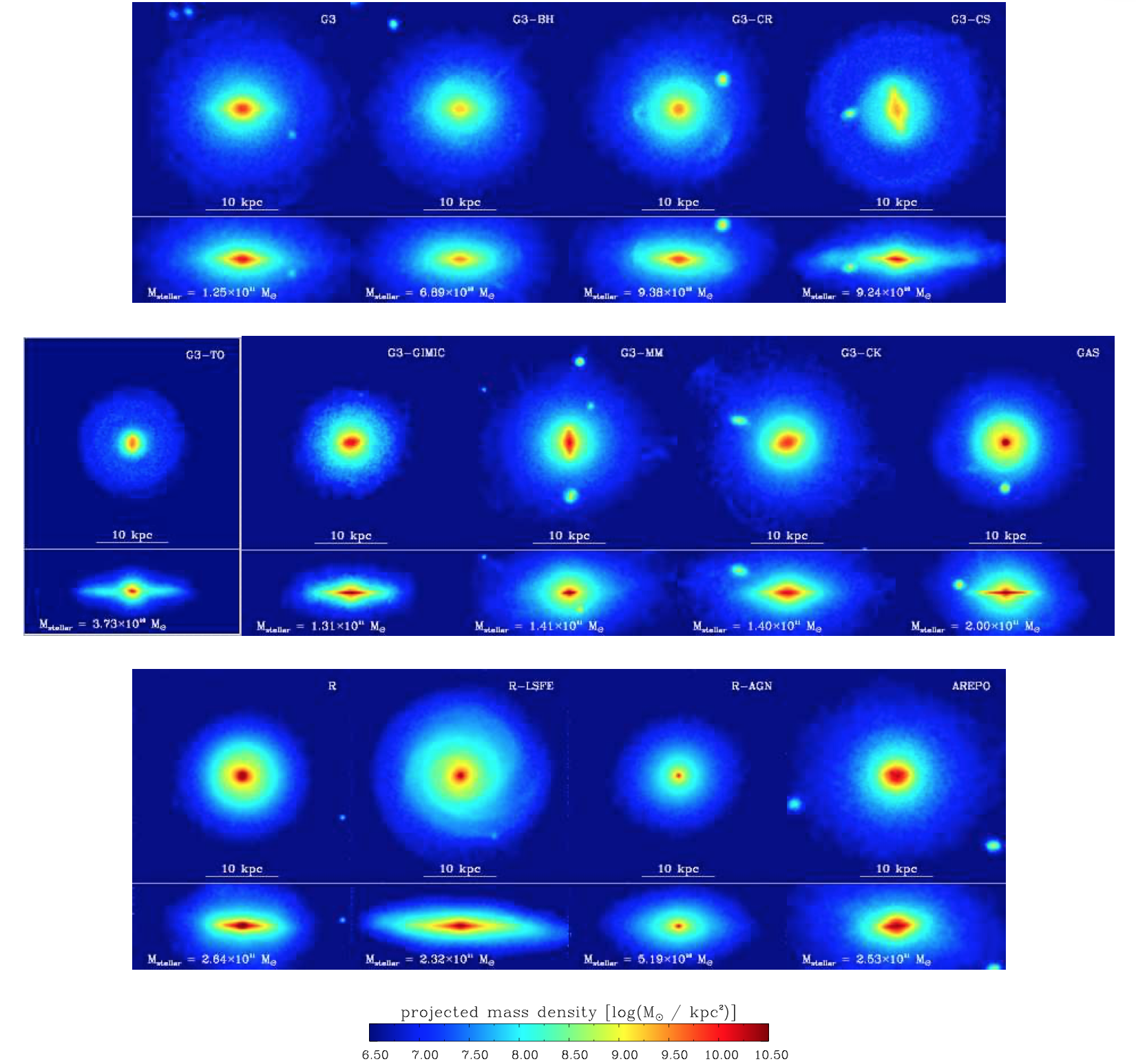 Face-on and edge-on maps of projected stellar mass density.